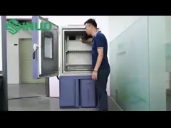 IEC60068-2-78 Camera di prova per umidità a temperatura costante 1500L